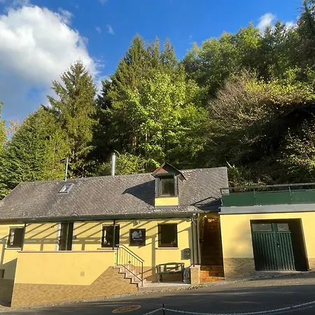 Ferienwohnung Meijer Briedel Exterior photo